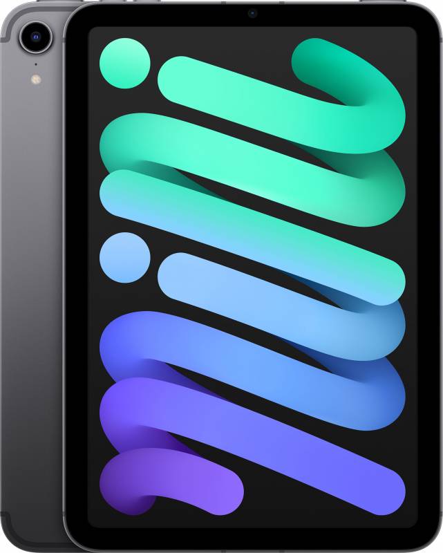 картинка Apple iPad mini 8,3" (2021) Wi-Fi + Cellular 256 ГБ, серый космос от маркетплейса TEMA.shop