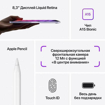 картинка Apple iPad mini 8,3" (2021) Wi-Fi + Cellular 256 ГБ, сияющая звезда от маркетплейса TEMA.shop 9