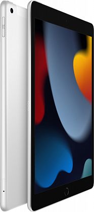 картинка Apple iPad 10,2" (2021) Wi-Fi + Cellular 256 ГБ, серебристый от маркетплейса TEMA.shop 12
