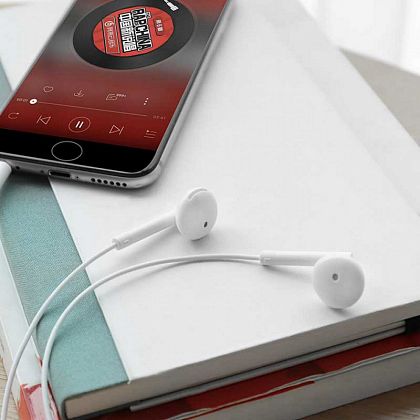 картинка Hoco M53 Exquisite sound wired Earphones with mic, белый от маркетплейса TEMA.shop 4