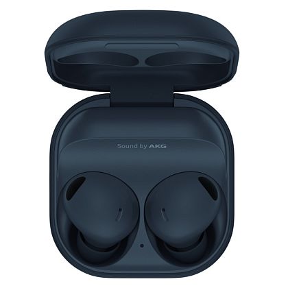 картинка Samsung Buds 2 Pro, серый от маркетплейса TEMA.shop 1