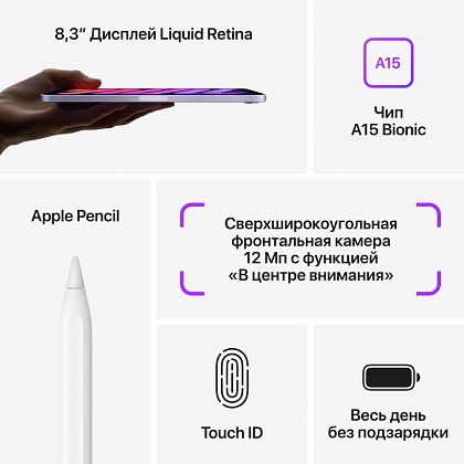 картинка Apple iPad mini 8,3" (2021) Wi-Fi 256 ГБ, серый космос от маркетплейса TEMA.shop 17