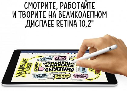 картинка Apple iPad 10,2" (2021) Wi-Fi + Cellular 256 ГБ, серебристый от маркетплейса TEMA.shop 14