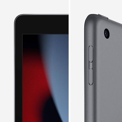 картинка Apple iPad 10,2" (2021) Wi-Fi 256 ГБ, серый космос от маркетплейса TEMA.shop 4