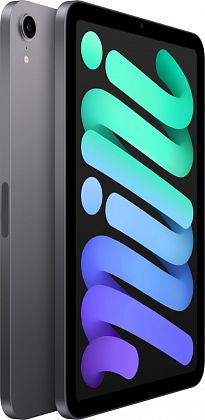 картинка Apple iPad mini 8,3" (2021) Wi-Fi 256 ГБ, серый космос от маркетплейса TEMA.shop 7