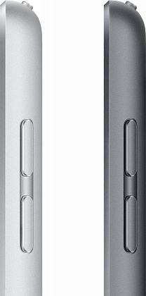 картинка Apple iPad 10,2" (2021) Wi-Fi + Cellular 256 ГБ, серебристый от маркетплейса TEMA.shop 5