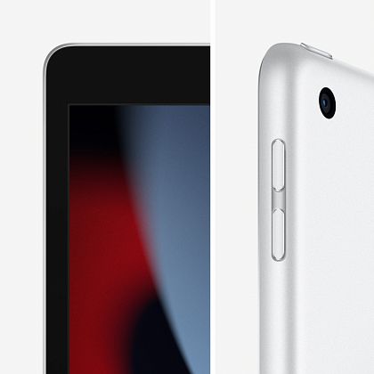 картинка Apple iPad 10,2" (2021) Wi-Fi 256 ГБ, серебристый от маркетплейса TEMA.shop 14