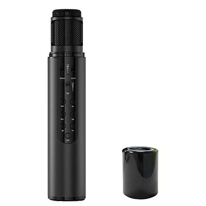картинка Микрофон караоке GuYe от маркетплейса TEMA.shop 1