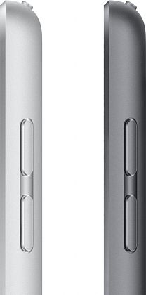 картинка Apple iPad 10,2" (2021) Wi-Fi + Cellular 256 ГБ, серебристый от маркетплейса TEMA.shop 16