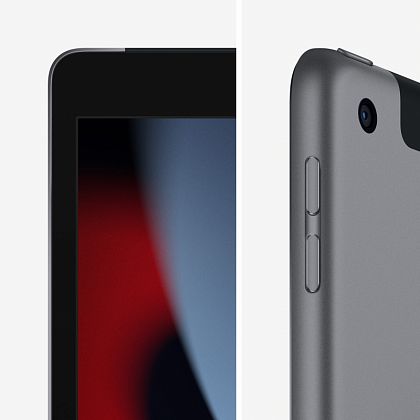 картинка Apple iPad 10,2" (2021) Wi-Fi + Cellular 256 ГБ, серый космос от маркетплейса TEMA.shop 12