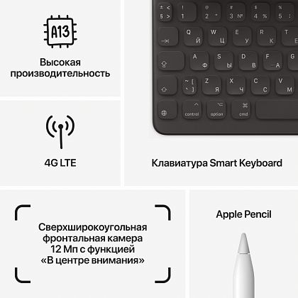 картинка Apple iPad 10,2" (2021) Wi-Fi + Cellular 256 ГБ, серебристый от маркетплейса TEMA.shop 3