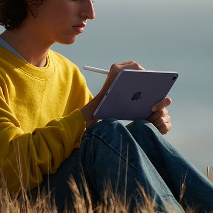 картинка Apple iPad mini 8,3" (2021) Wi-Fi 256 ГБ, серый космос от маркетплейса TEMA.shop 10