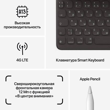 картинка Apple iPad 10,2" (2021) Wi-Fi + Cellular 256 ГБ, серебристый от маркетплейса TEMA.shop 8