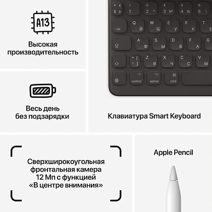 картинка Apple iPad 10,2" (2021) Wi-Fi 256 ГБ, серебристый от маркетплейса TEMA.shop 12