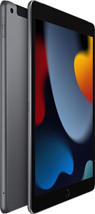 картинка Apple iPad 10,2" (2021) Wi-Fi + Cellular 256 ГБ, серый космос от маркетплейса TEMA.shop 11