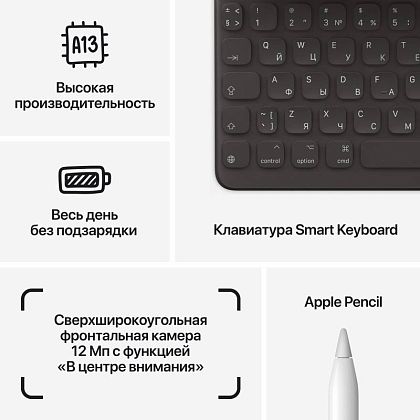 картинка Apple iPad 10,2" (2021) Wi-Fi 256 ГБ, серый космос от маркетплейса TEMA.shop 6